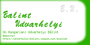 balint udvarhelyi business card
